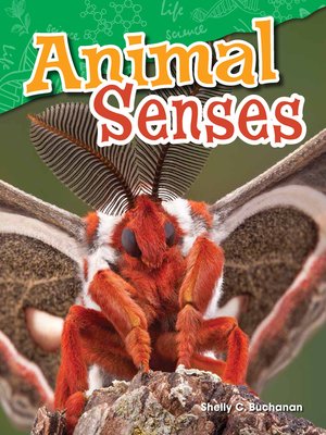 cover image of Animal Senses
